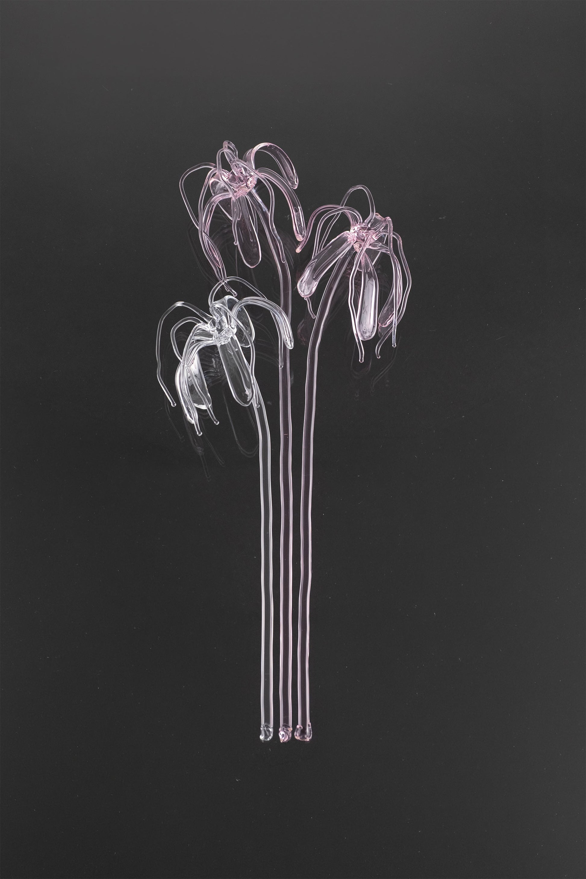 Glass Flower 04