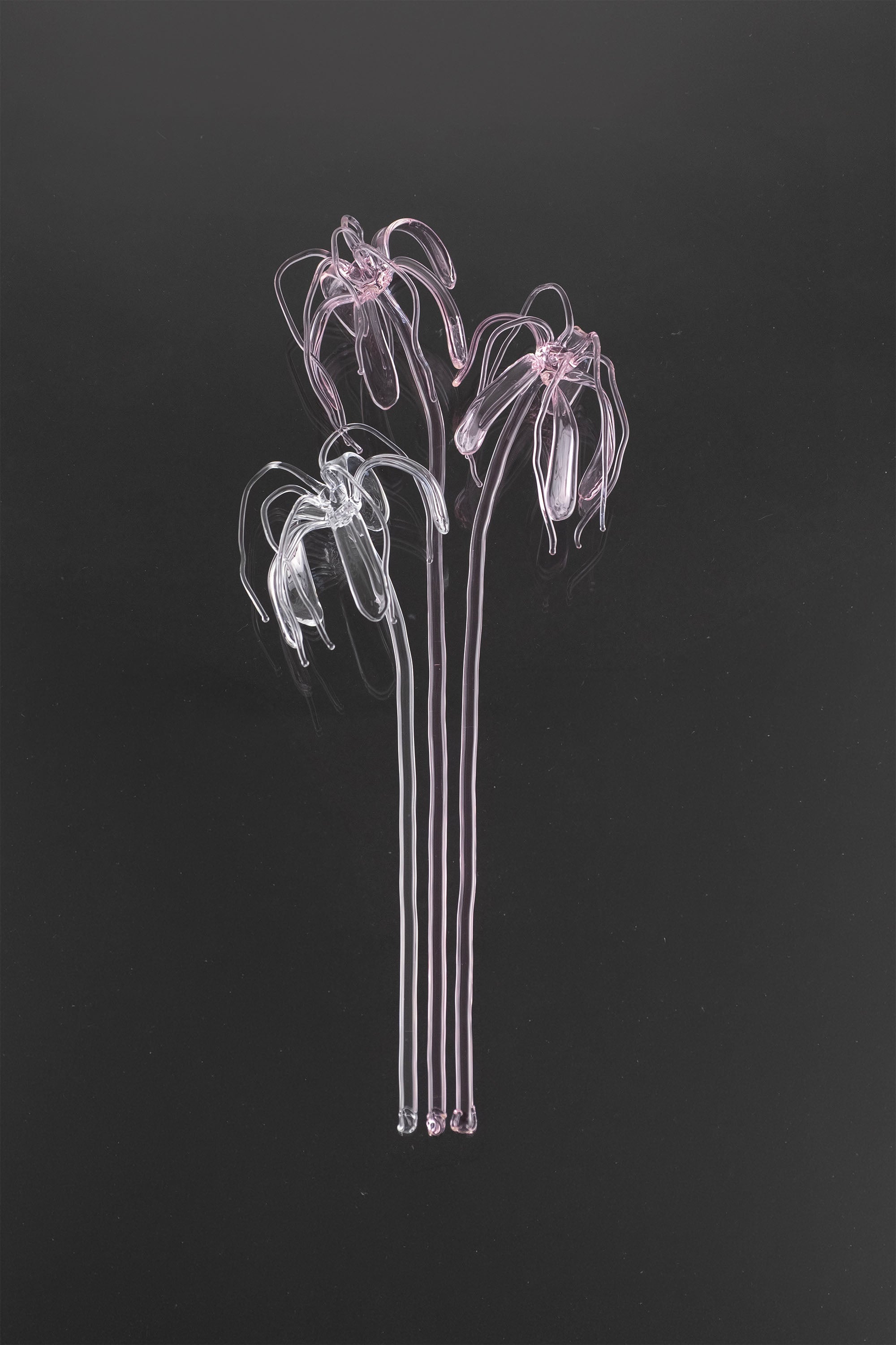 Glass Flower 04