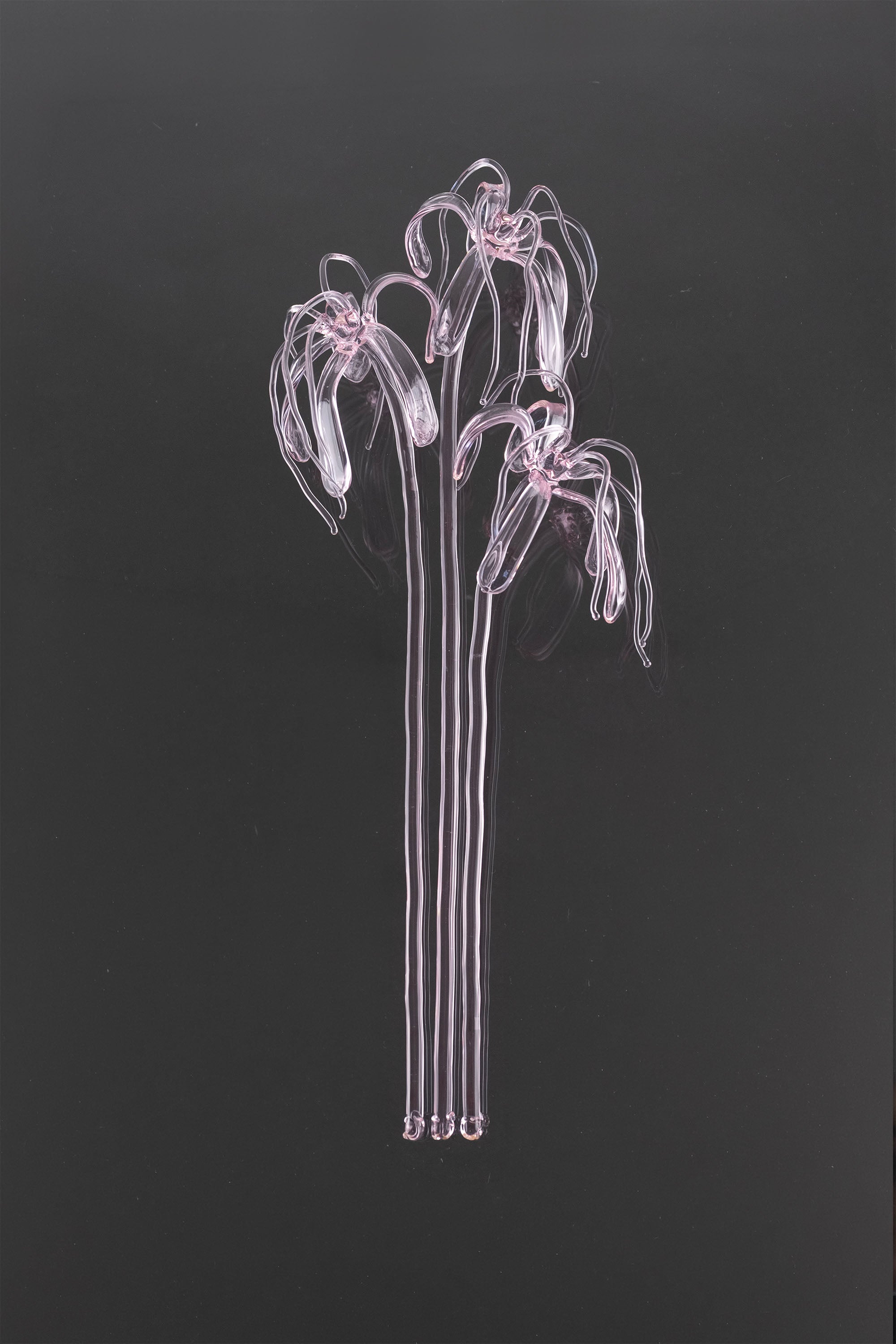 Glass Flower 04