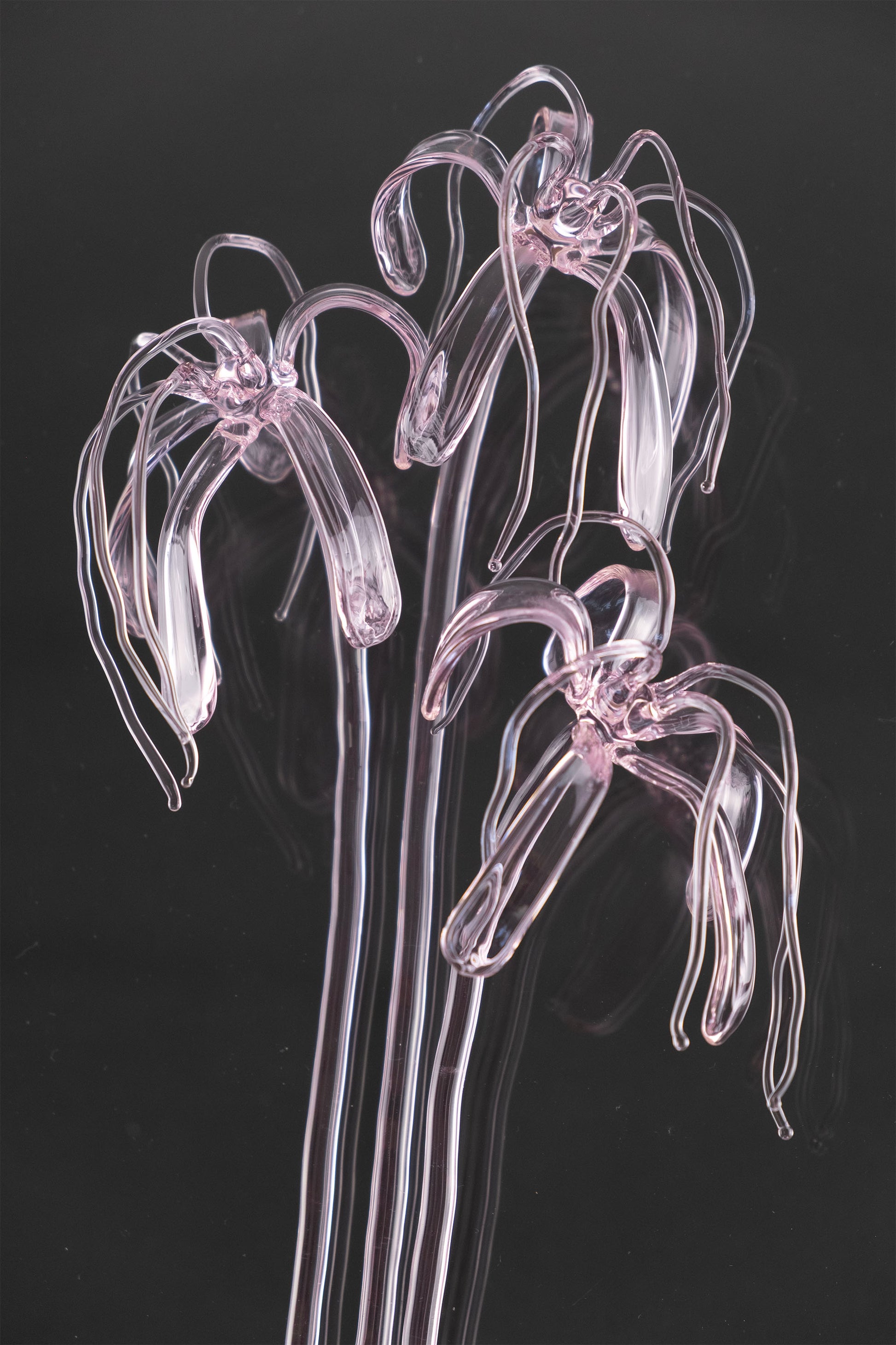 Glass Flower 04