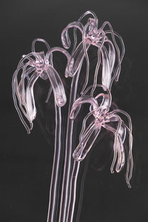 Glass Flower 04