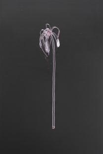 Glass Flower 04