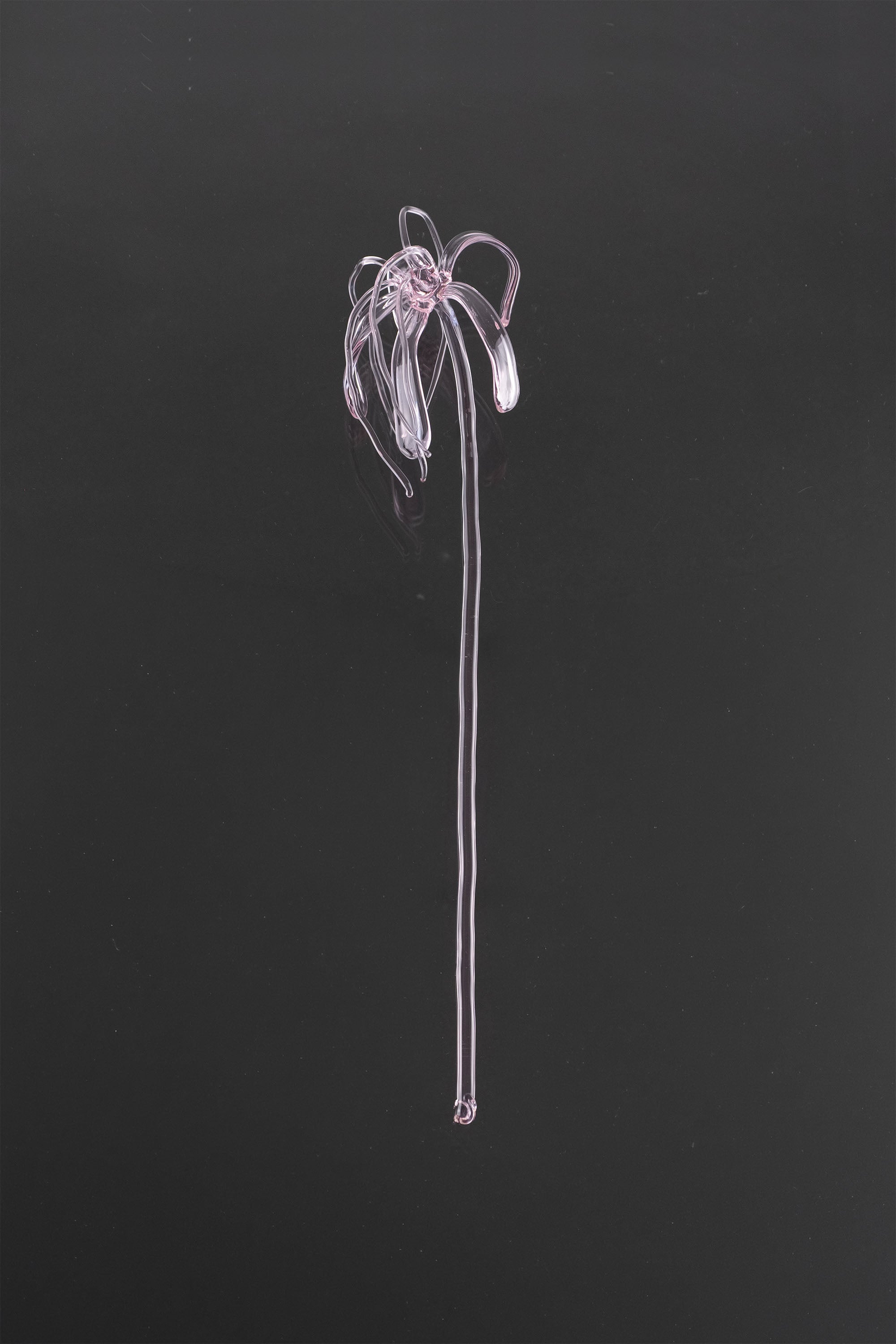 Glass Flower 04