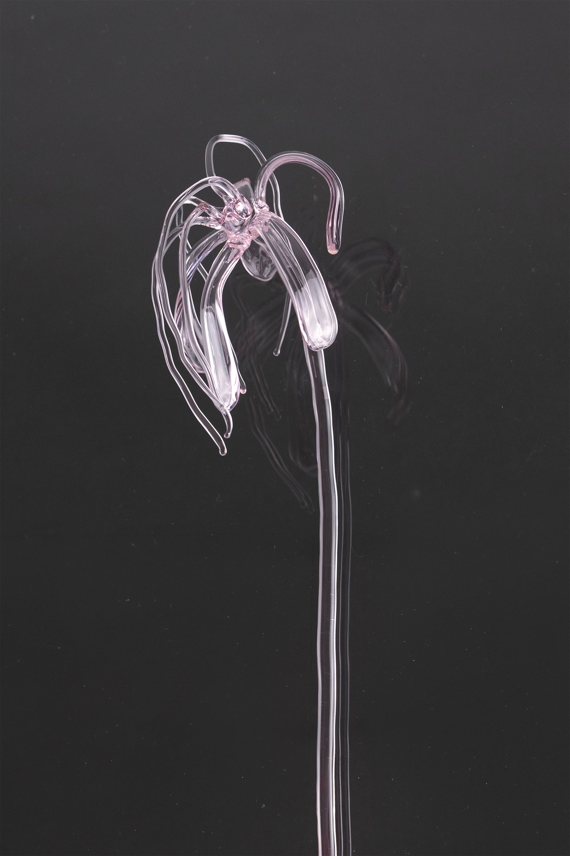 Glass Flower 04