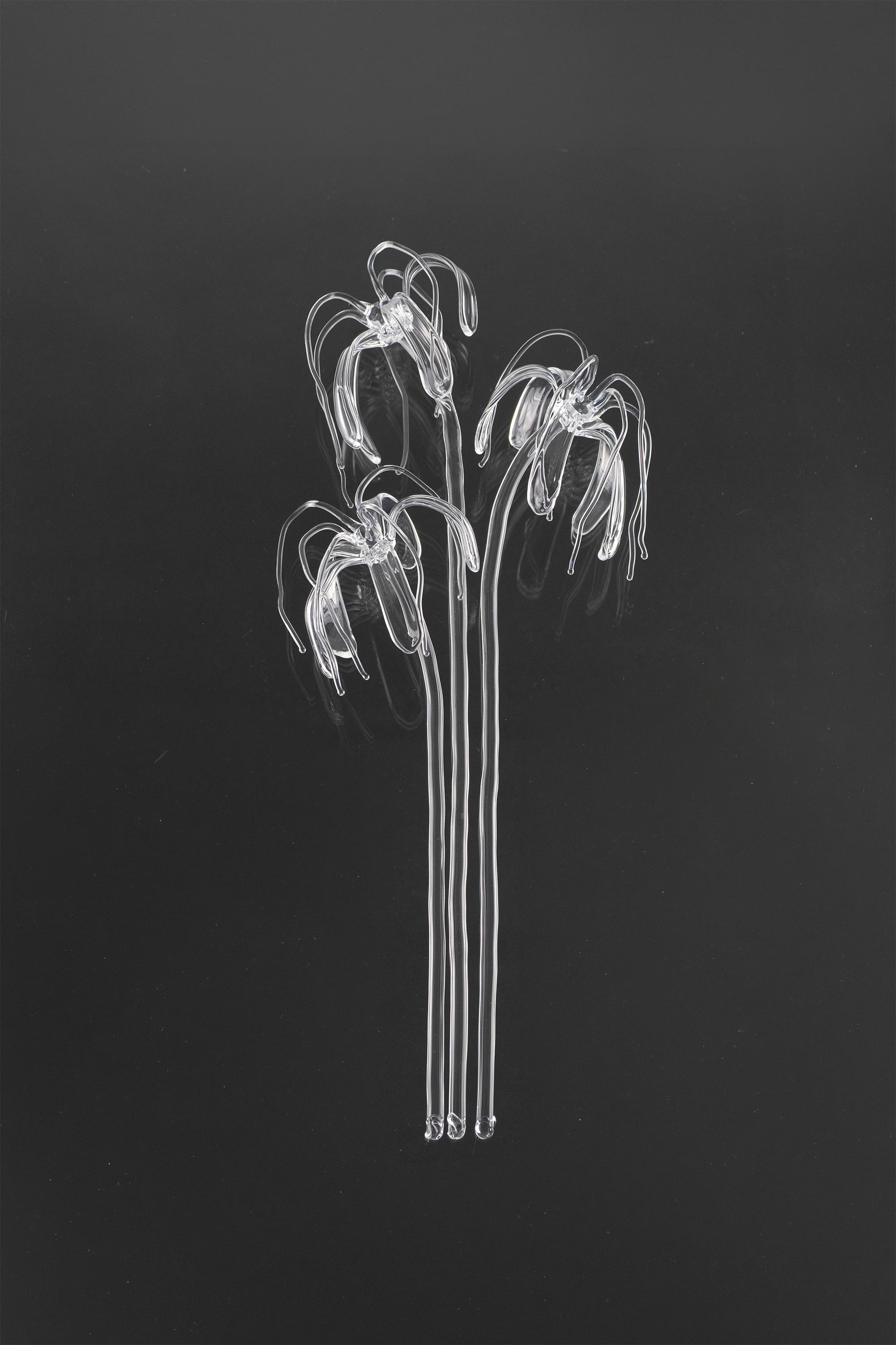 Glass Flower 04