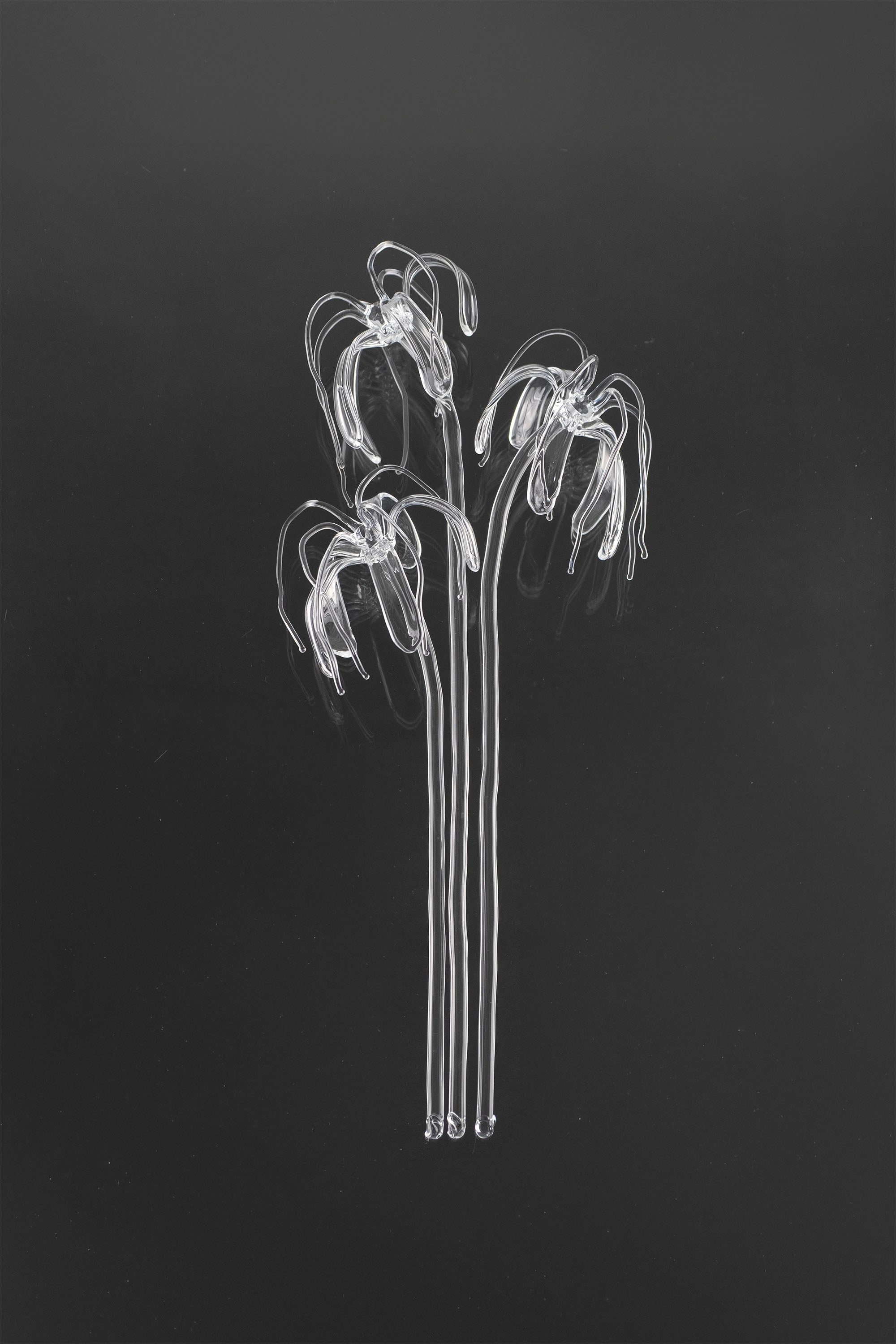 Glass Flower 04