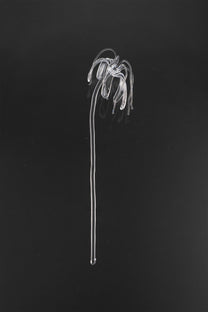 Glass Flower 04