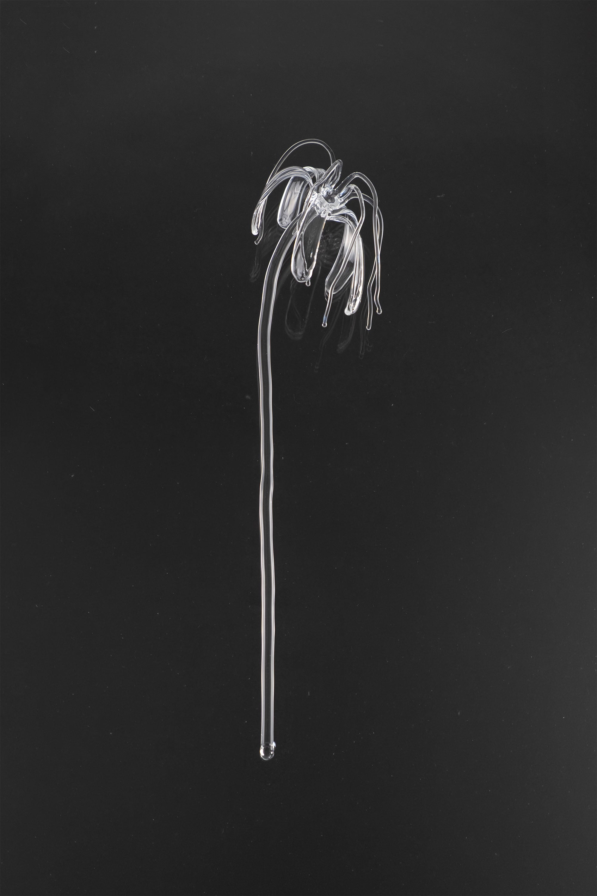Glass Flower 04
