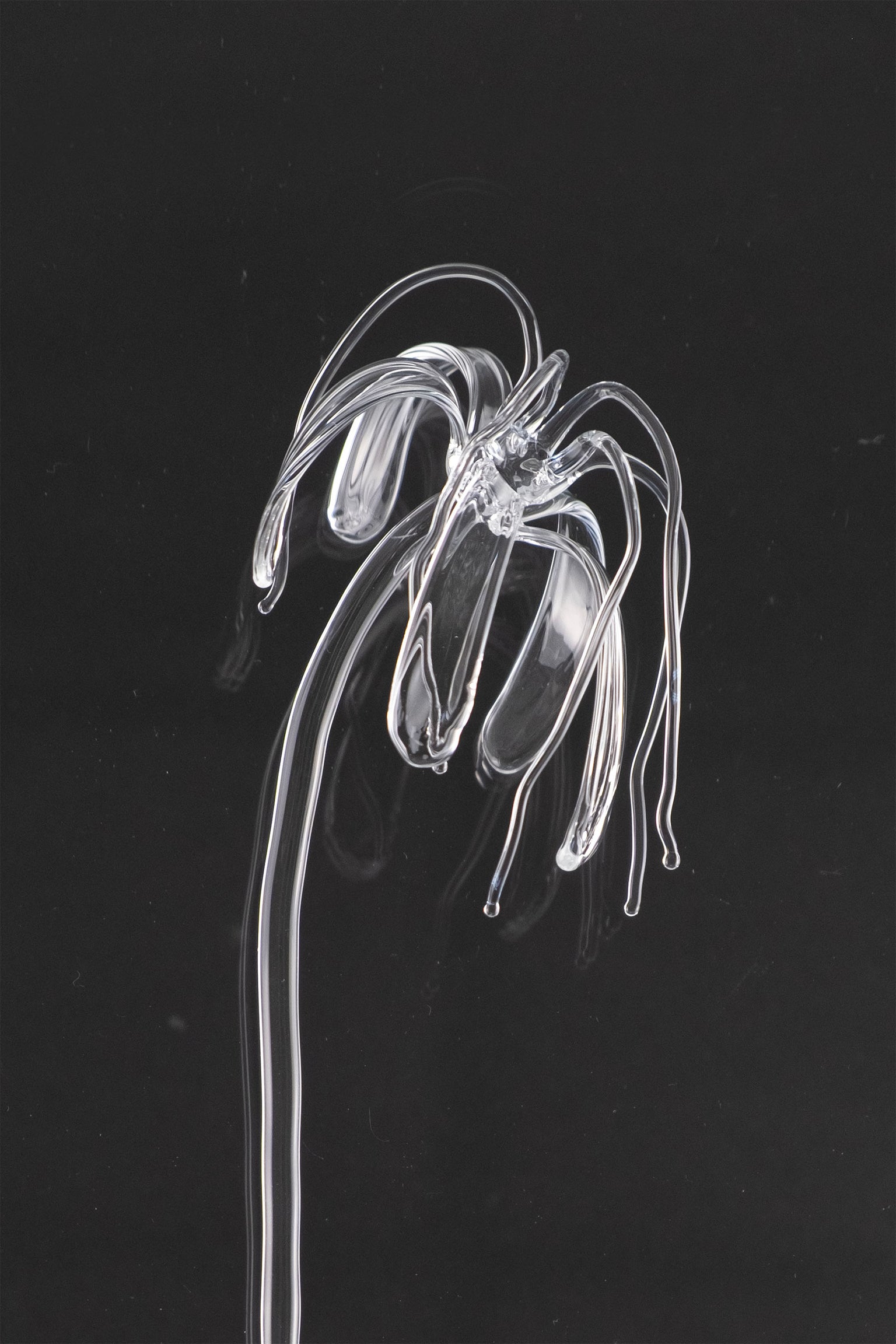 Glass Flower 04