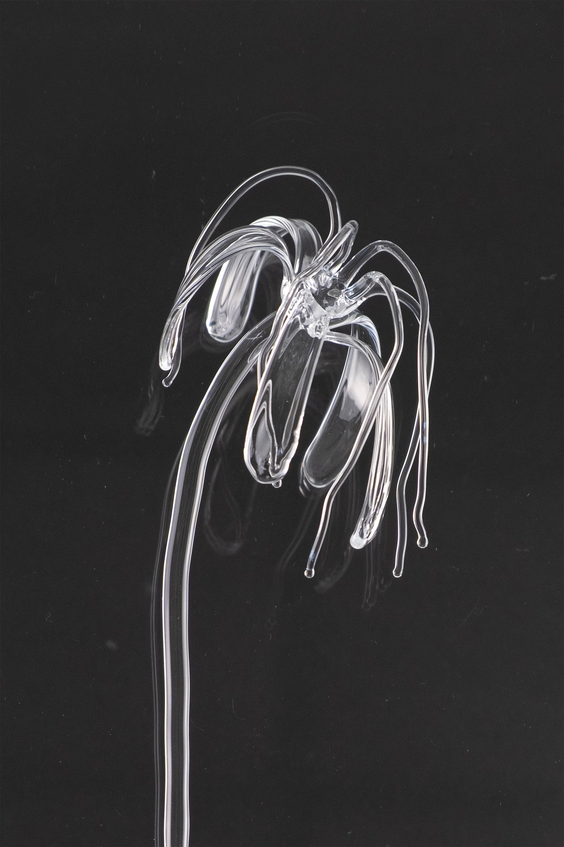 Glass Flower 04
