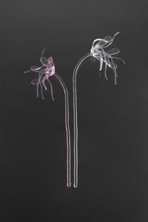 Glass Flower 05
