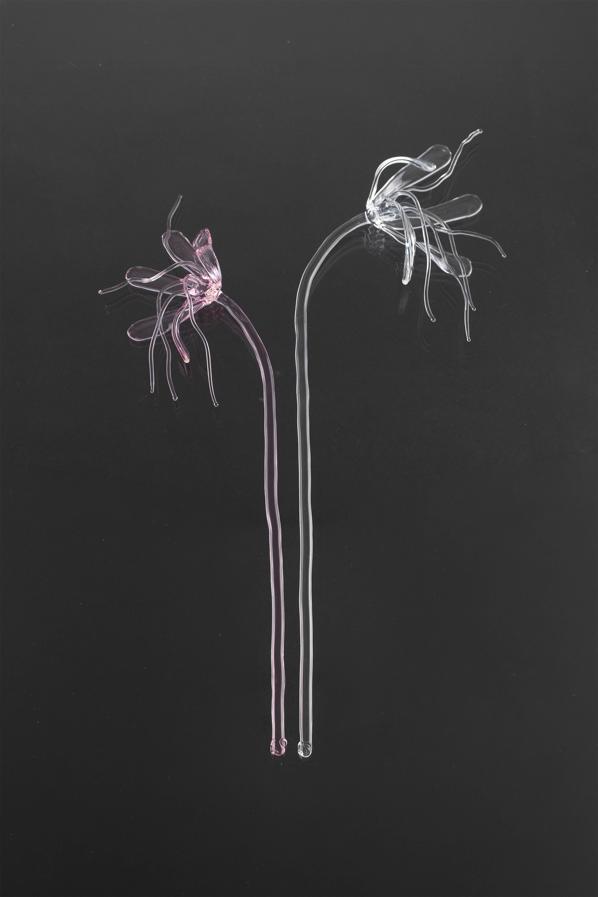 Glass Flower 05