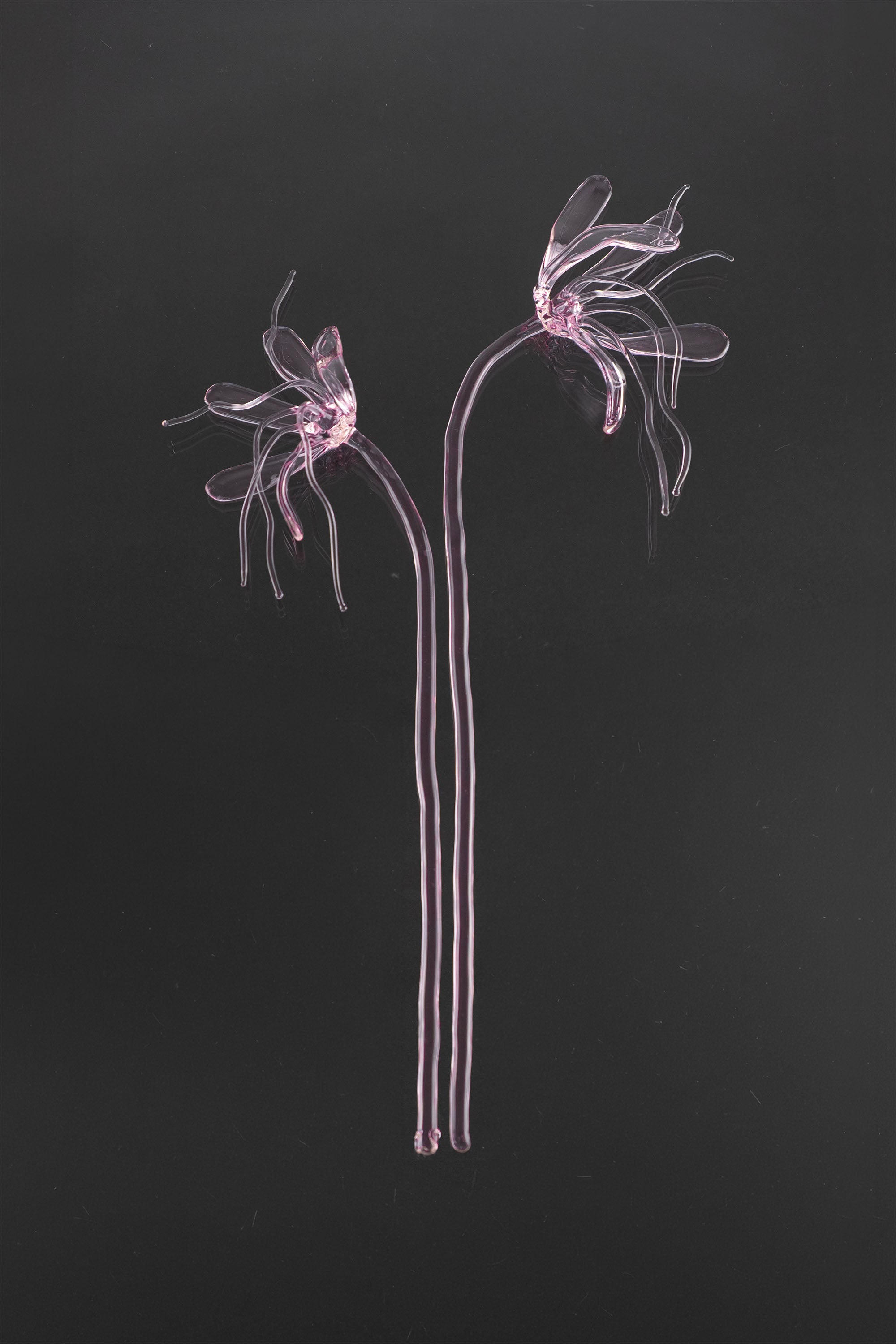 Glass Flower 05