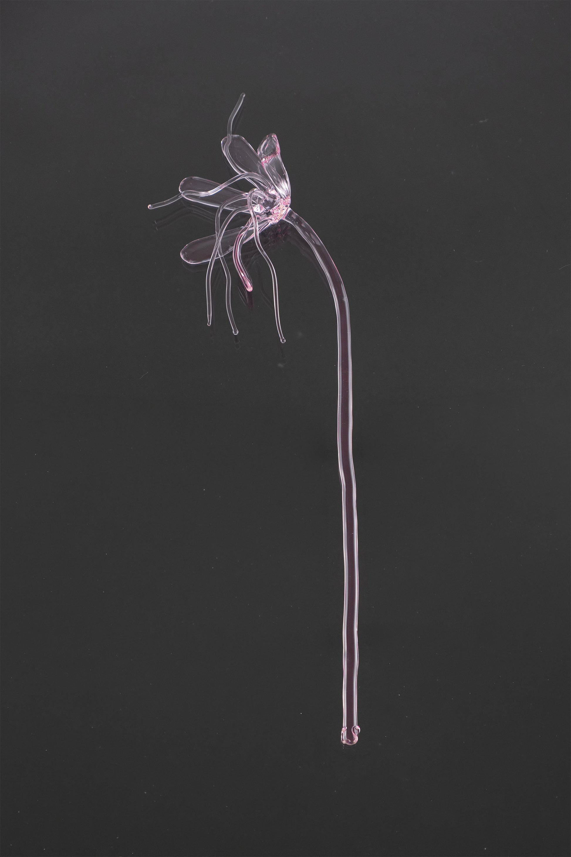 Glass Flower 05