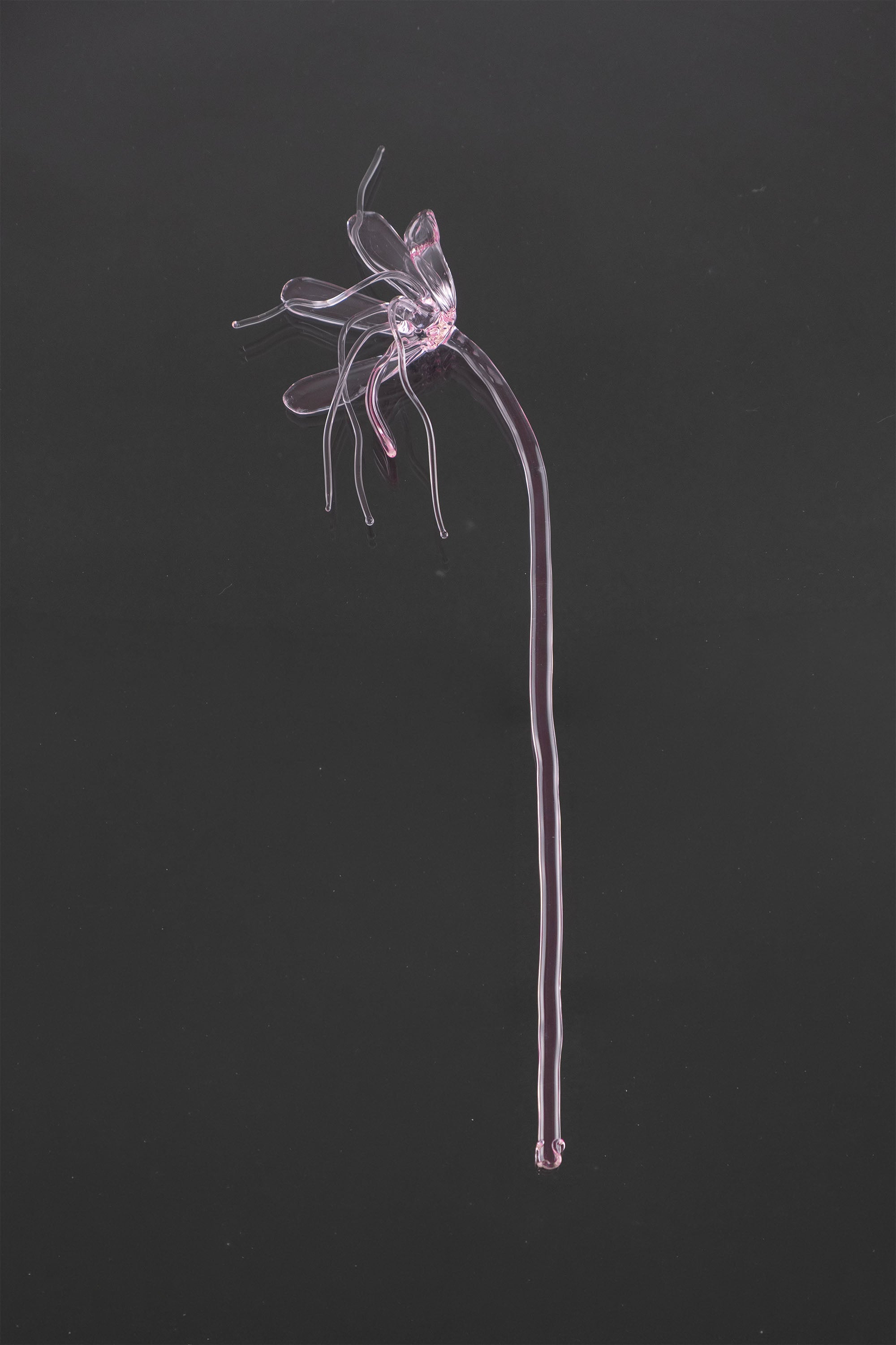 Glass Flower 05