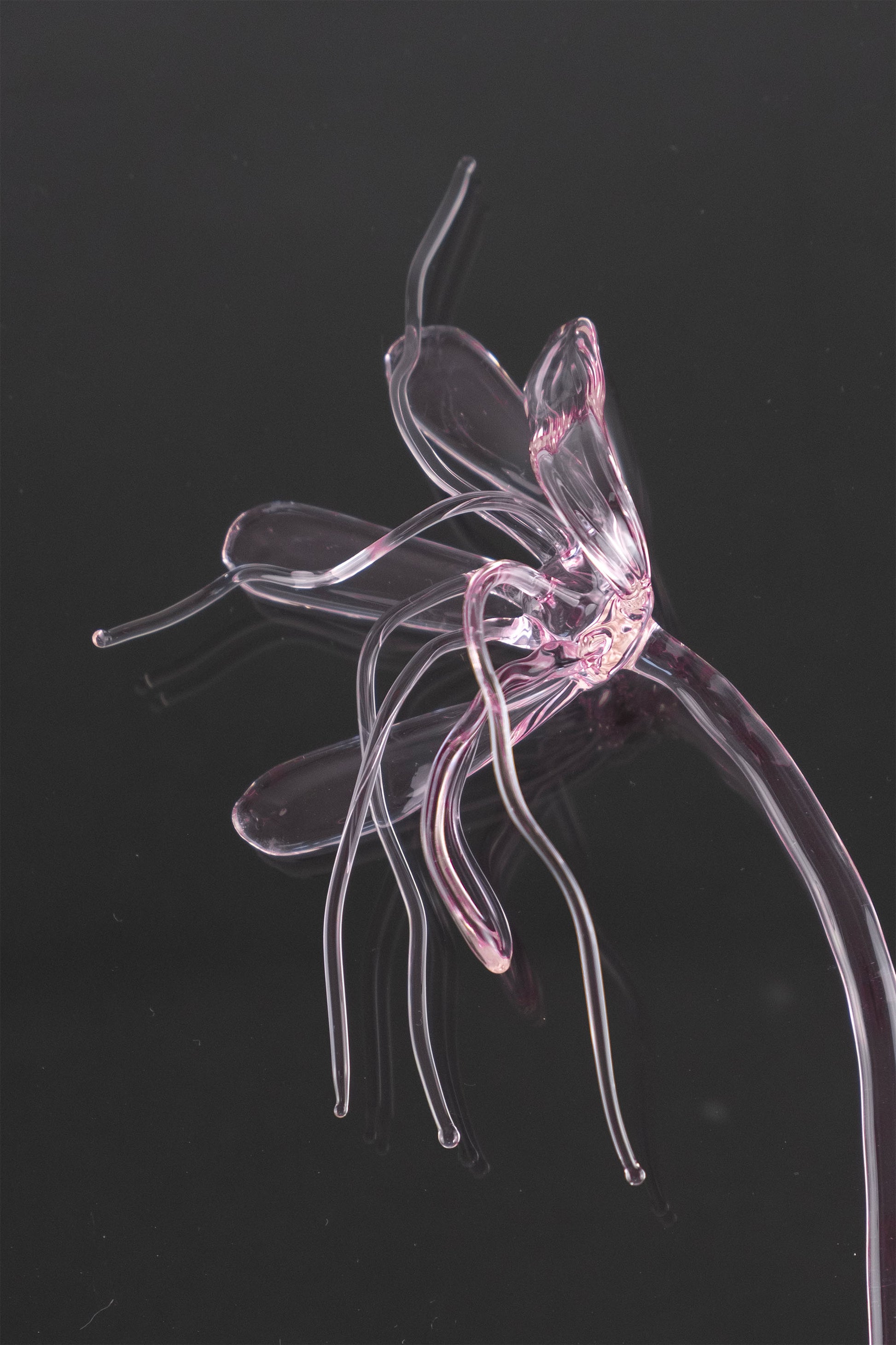 Glass Flower 05