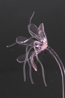 Glass Flower 05