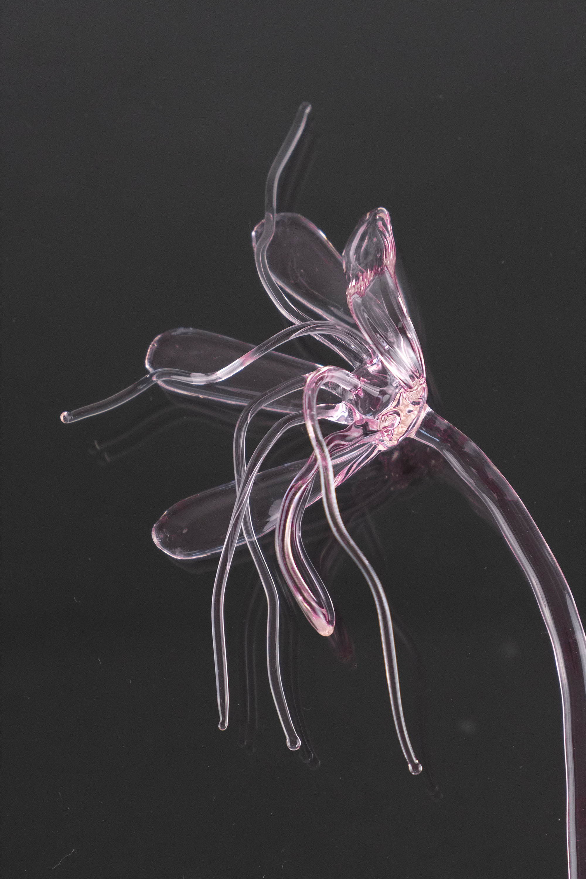 Glass Flower 05