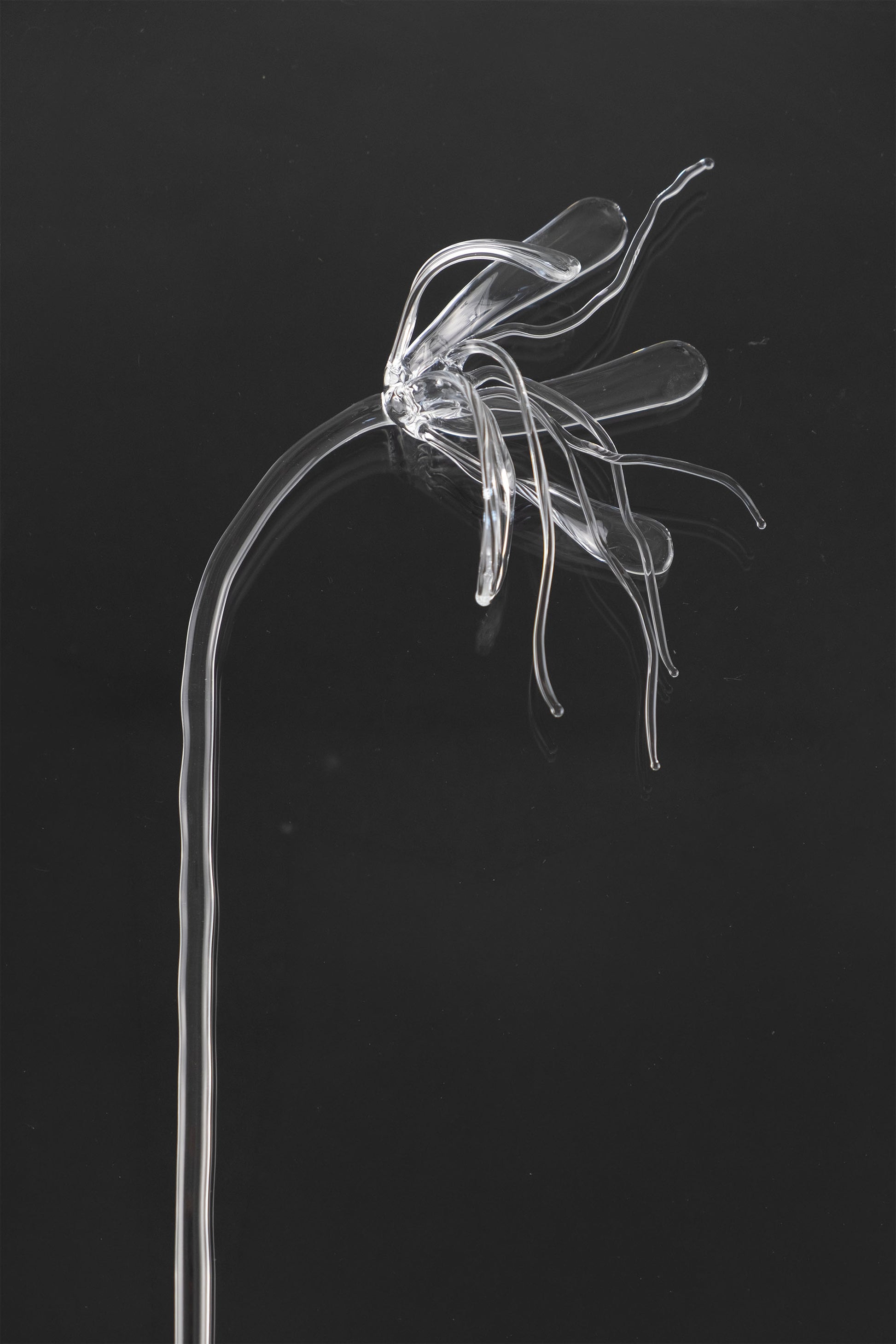 Glass Flower 05
