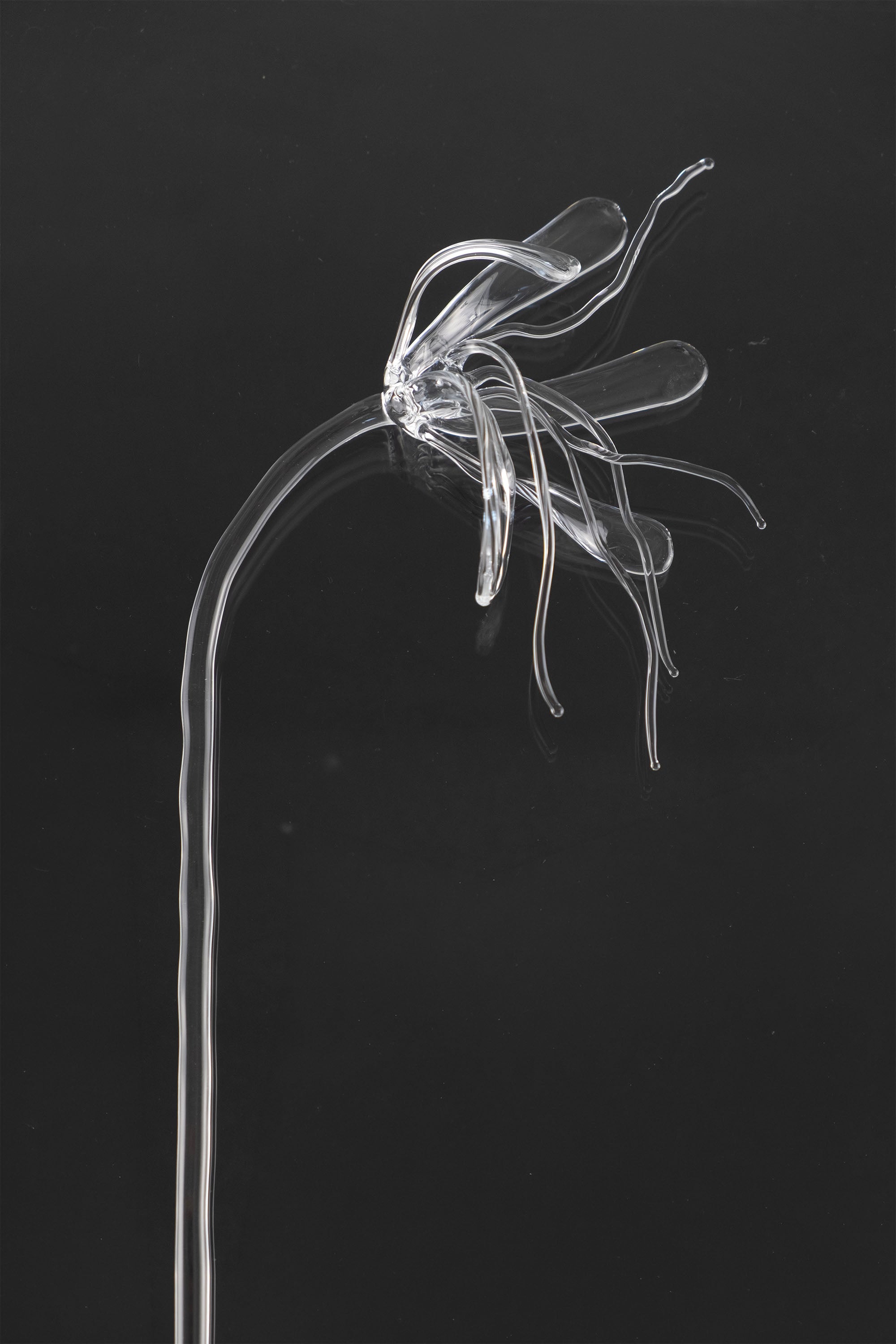 Glass Flower 05