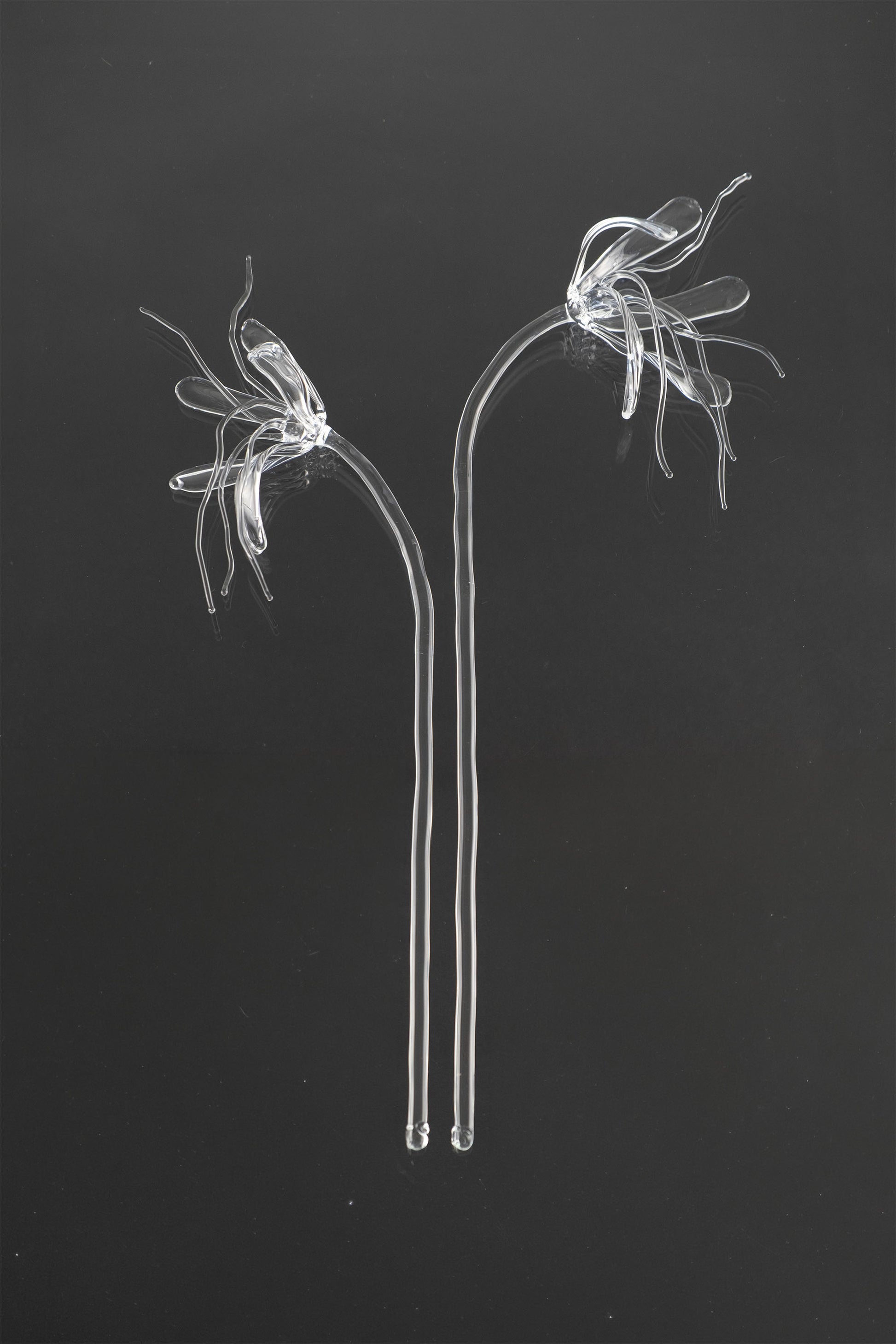 Glass Flower 05