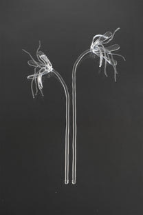 Glass Flower 05