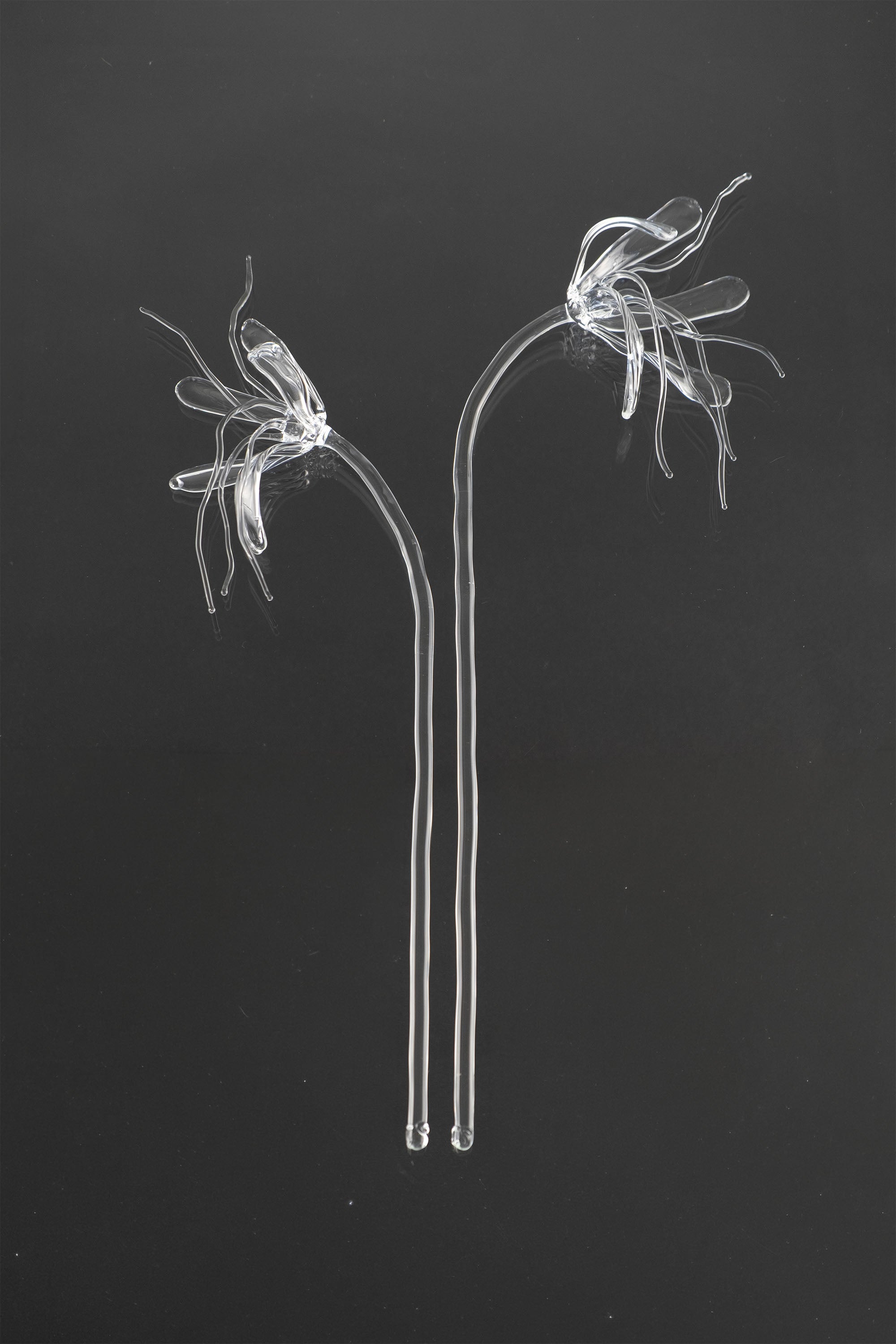 Glass Flower 05