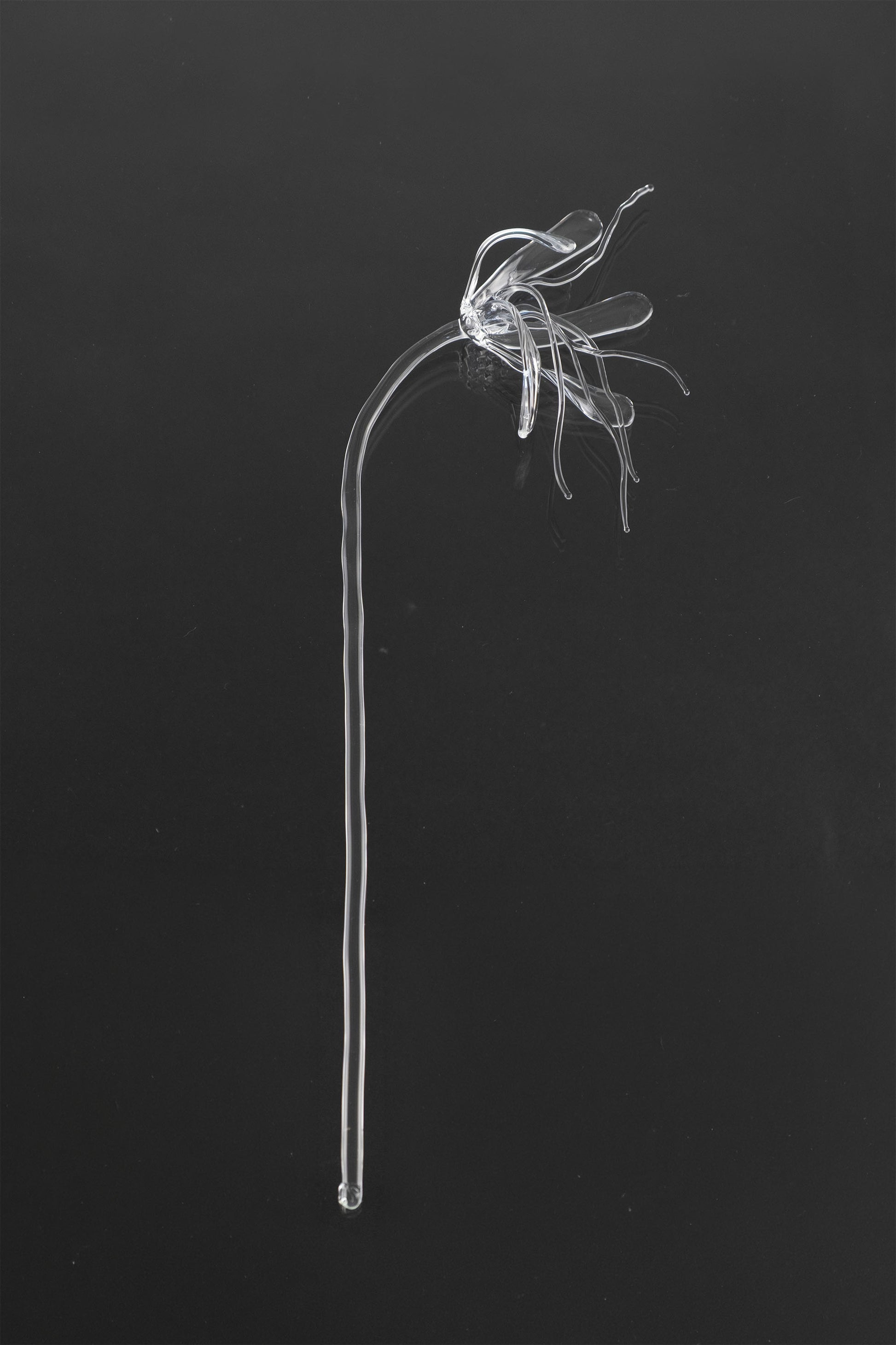 Glass Flower 05