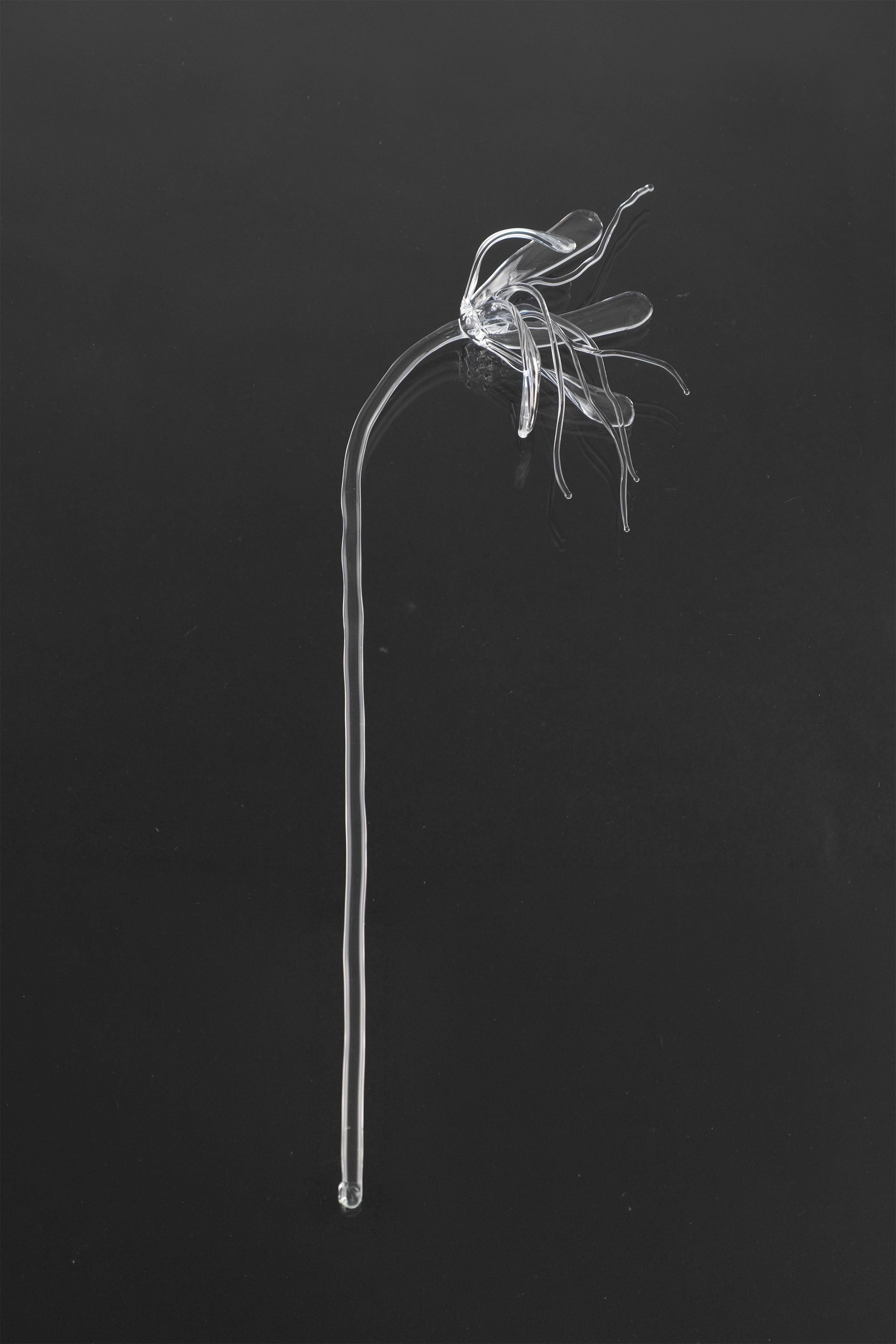 Glass Flower 05